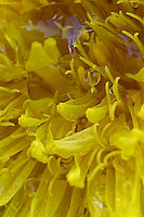 Výřez (R), 1/60 s, f/2.80, F/5.80 mm, | © Petr Koritina Výřez (R), 1/60 s, f/2.80, F/5.80 mm,