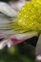 Výřez (R), 1/800 s, f/2.80, F/5.80 mm, | © Petr Koritina Výřez (R), 1/800 s, f/2.80, F/5.80 mm,