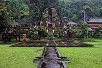 Déšť v pralesním chrámu