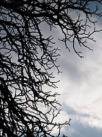 Náhled, 1/800 s,  f/8.00, F/32.00 mm, ISO: 50