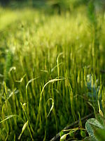 Náhled, 1/160 s,  f/3.30, F/6.40 mm, ISO: 50