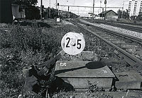 Černobílý  snímek