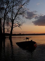 Náhled, z JPG s RAWem