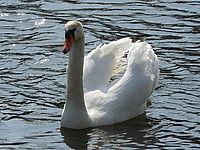 Náhled | © Petr Koritina Náhled