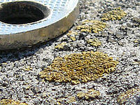 Výřez (R) | © Petr Koritina Výřez (R)