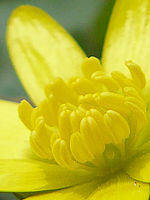 Výřez (R) | © Petr Koritina Výřez (R)