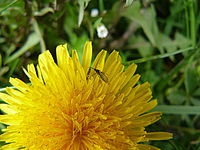 Náhled | © Petr Koritina Náhled