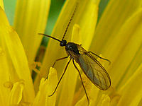 Výřez (R) | © Petr Koritina Výřez (R)