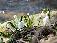 Náhled | © Petr Koritina Náhled