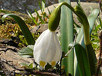 Výřez (R) | © Petr Koritina Výřez (R)