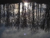 HP R927 - Přímé protisvětlo