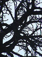 Náhled, 1/640 s,  f/6.80, F/63.30 mm, ISO: 64