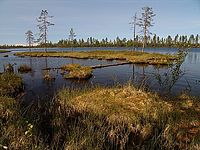 V krajině jezer a komárů