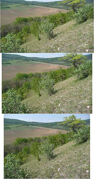 Poměry stran | © Petr Koritina Poměry stran