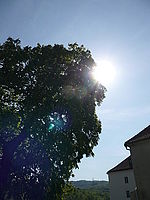 Náhled, 1/500 s, f/8.00, F/4.60 mm, ISO: 100 | © Petr Koritina Náhled, 1/500 s, f/8.00, F/4.60 mm, ISO: 100