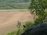 Výřez (R), 1/800 s,  f/3.30, F/4.60 mm, ISO: 100