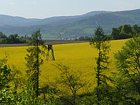 Výřez (R), 1/250 s,  f/8.00, F/4.60 mm, ISO: 100