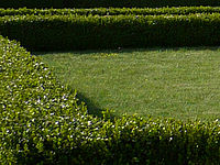 Výřez (R), 1/640 s,  f/3.30, F/4.60 mm, ISO: 100