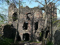 Náhled, 1/400 s,  f/3.30, F/4.60 mm, ISO: 100