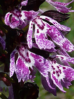 Výřez (R), 1/640 s, f/4.70, F/13.70 mm, ISO: 100 | © Petr Koritina Výřez (R), 1/640 s, f/4.70, F/13.70 mm, ISO: 100