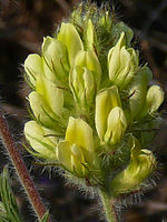 Výřez (R), 1/640 s, f/4.60, F/12.70 mm, ISO: 100 | © Petr Koritina Výřez (R), 1/640 s, f/4.60, F/12.70 mm, ISO: 100