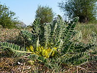 Náhled, 1/500 s, f/3.60, F/5.50 mm, ISO: 100 | © Petr Koritina Náhled, 1/500 s, f/3.60, F/5.50 mm, ISO: 100