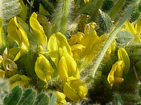 Výřez (R), 1/500 s, f/3.60, F/5.50 mm, ISO: 100 | © Petr Koritina Výřez (R), 1/500 s, f/3.60, F/5.50 mm, ISO: 100