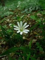 Náhled, 1/20 s, f/3.30, F/4.60 mm, ISO: 100 | © Petr Koritina Náhled, 1/20 s, f/3.30, F/4.60 mm, ISO: 100