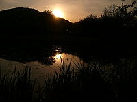 Náhled, 1/1000 s, f/8.00, F/4.60 mm, ISO: 100 | © Petr Koritina Náhled, 1/1000 s, f/8.00, F/4.60 mm, ISO: 100