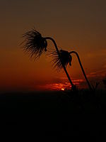 Náhled, 1/250 s, f/11.00, F/12.70 mm, ISO: 100 | © Petr Koritina Náhled, 1/250 s, f/11.00, F/12.70 mm, ISO: 100