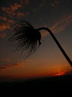 Náhled, 1/320 s, f/8.00, F/4.60 mm, ISO: 100 | © Petr Koritina Náhled, 1/320 s, f/8.00, F/4.60 mm, ISO: 100