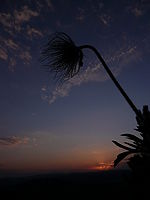 Náhled, 1/320 s, f/8.00, F/4.60 mm, ISO: 100 | © Petr Koritina Náhled, 1/320 s, f/8.00, F/4.60 mm, ISO: 100