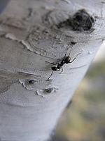 Náhled, 1/160 s,  f/3.50, F/9.84 mm, ISO: 50