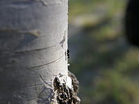 Náhled, 1/320 s,  f/3.50, F/9.84 mm, ISO: 50