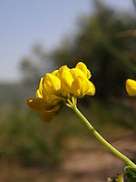 Náhled, 1/500 s,  f/3.50, F/9.84 mm, ISO: 50