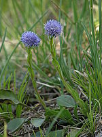 Náhled, 1/80 s,  f/4.40, F/81.71 mm, ISO: 50