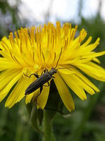 Náhled, 1/80 s,  f/5.60, F/9.84 mm, ISO: 50