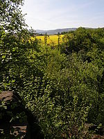 Náhled, 1/160 s,  f/6.30, F/4.68 mm, ISO: 50