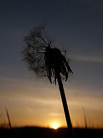 Náhled, 1/640 s,  f/5.00, F/9.84 mm, ISO: 50