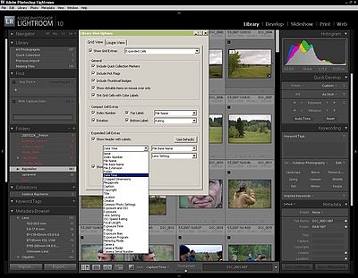 Možnosti zobrazení údajů u náhledových snímků v Grid Viev Možnosti zobrazení údajů u náhledových snímků v Grid Viev