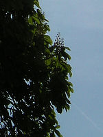 Výřez | © Petr Koritina Výřez