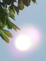 Výřez | © Petr Koritina Výřez