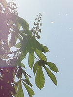 Výřez | © Petr Koritina Výřez