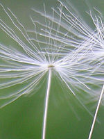 Výřez | © Petr Koritina Výřez