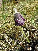 Náhled, 1/88 s, f/6.90, F/10.10 mm, ISO: 64 | © Petr Koritina Náhled, 1/88 s, f/6.90, F/10.10 mm, ISO: 64