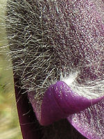 Výřez | © Petr Koritina Výřez