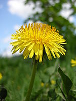 Náhled, 1/560 s, f/3.10, F/10.10 mm, ISO: 64 | © Petr Koritina Náhled, 1/560 s, f/3.10, F/10.10 mm, ISO: 64