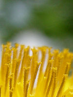 Výřez | © Petr Koritina Výřez