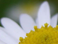 Výřez | © Petr Koritina Výřez