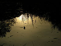 Náhled, 1/1000 s, f/7.30, F/26.30 mm, ISO: 64 | © Petr Koritina Náhled, 1/1000 s, f/7.30, F/26.30 mm, ISO: 64